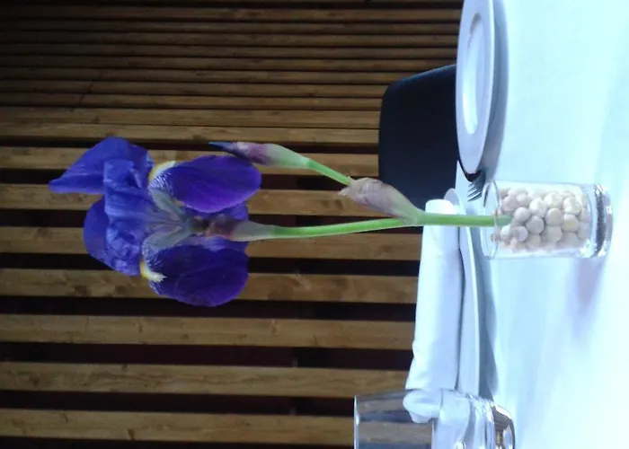 Casas De Pandreula Отель